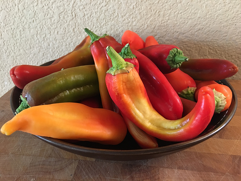 Sweet Peppers - Foodiddy